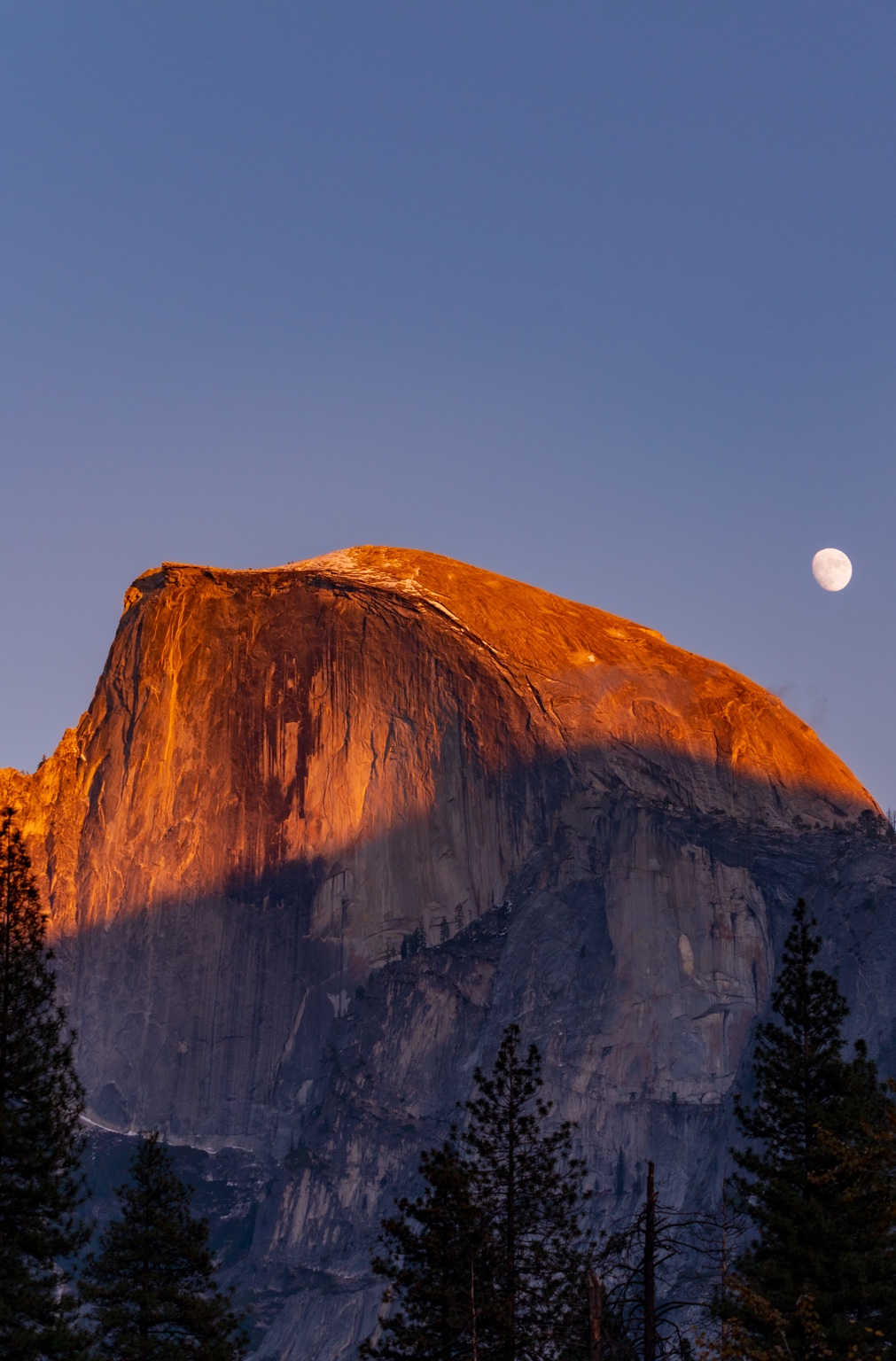 Half Dome glowing at sunset with the moon rising in Yosemite National Park